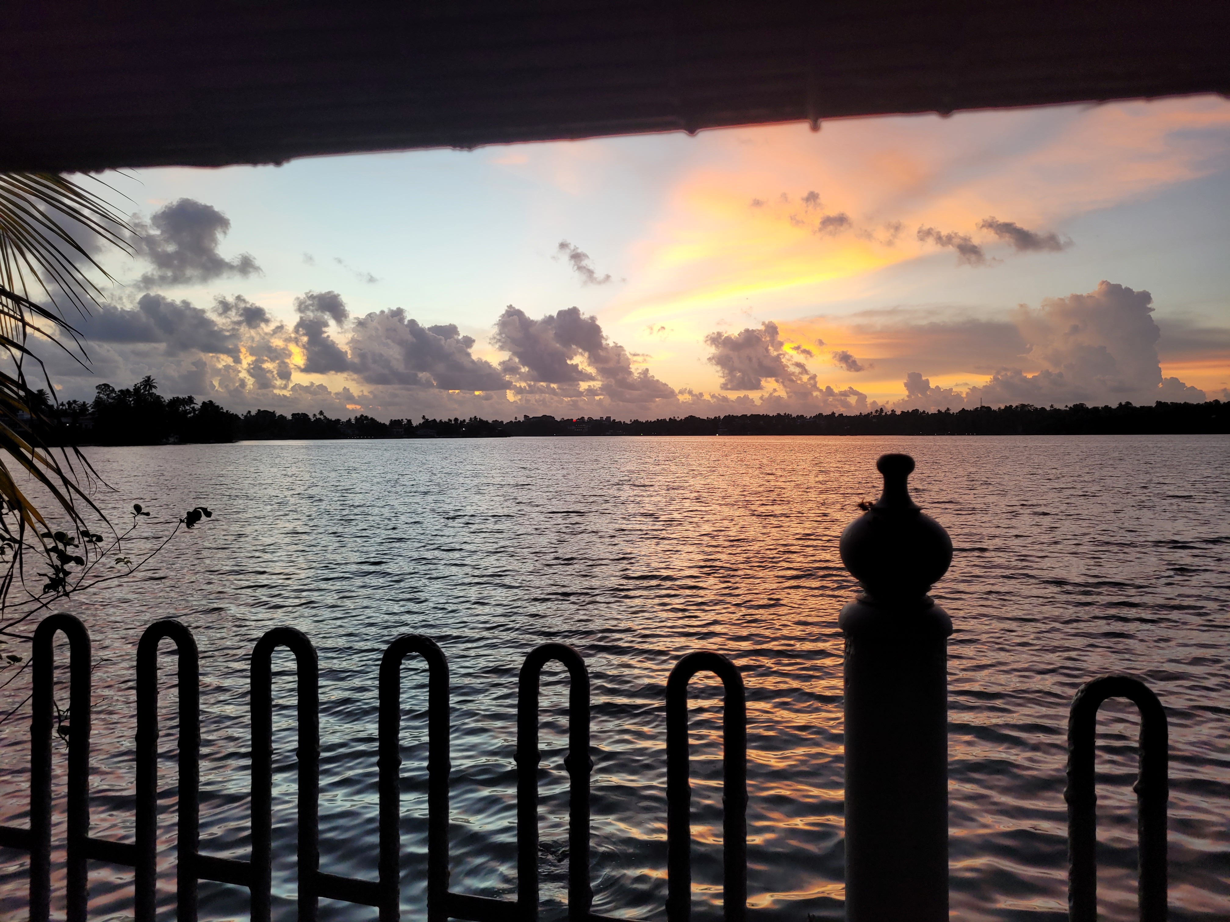 Lake Ashtamudi View